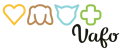 vafo-vsm